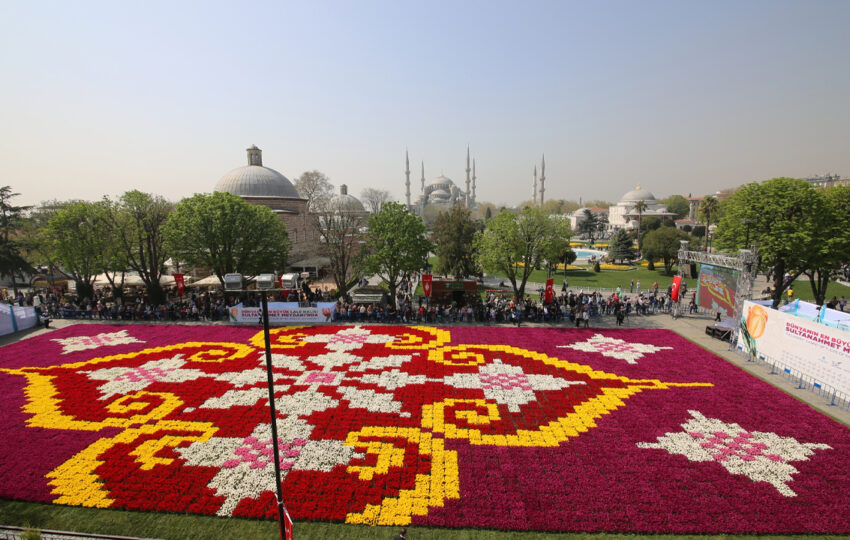 Daily Istanbul Tulip Festival Tour